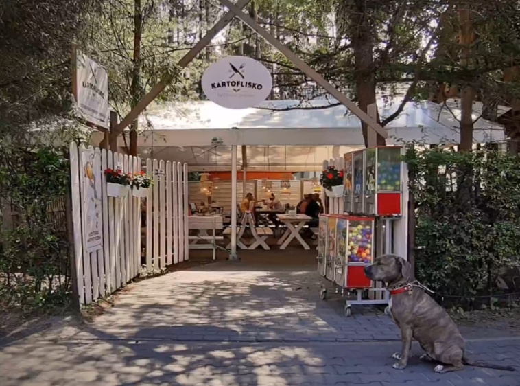 Bar KARTOFLISKO 