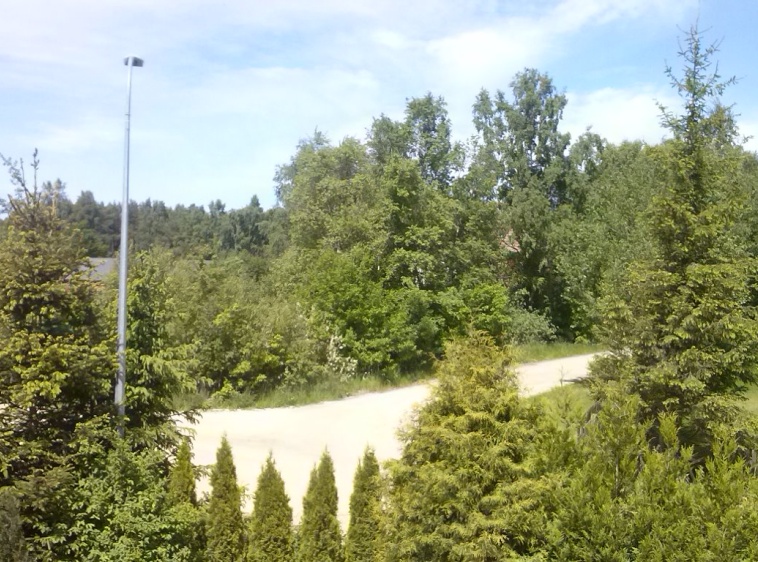 Nadmorska Gwiazda ?v=1.0